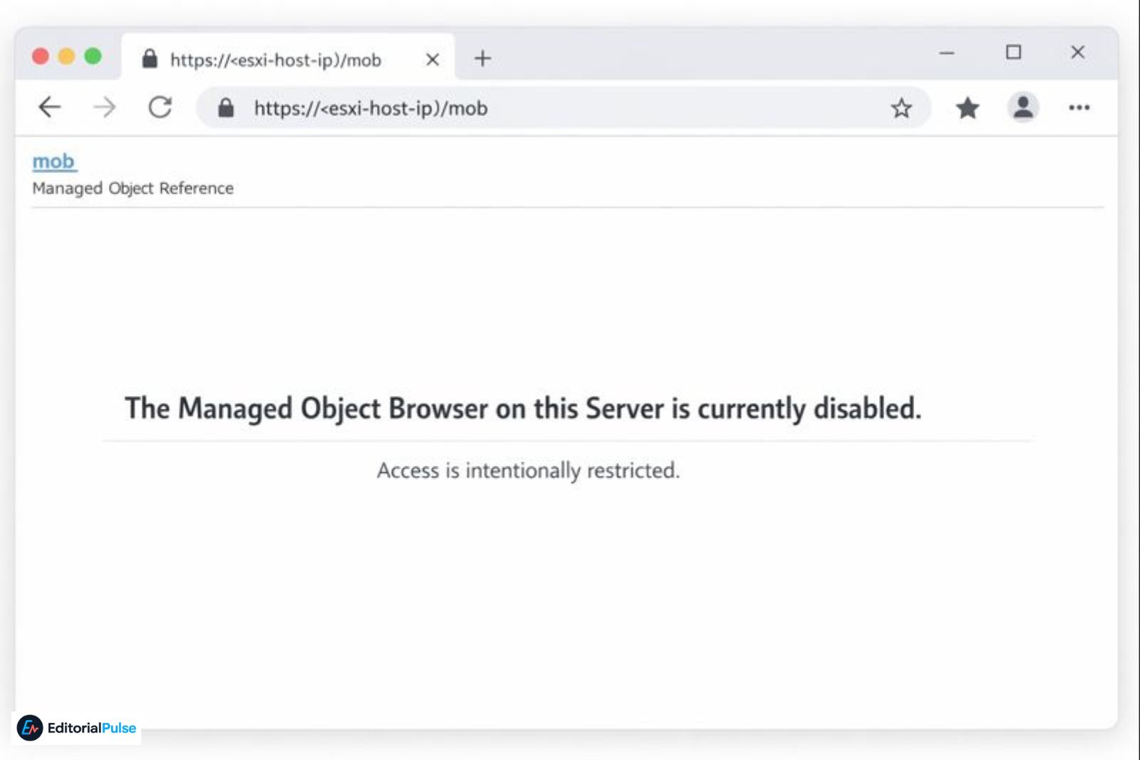 How the Managed Object Browser Works